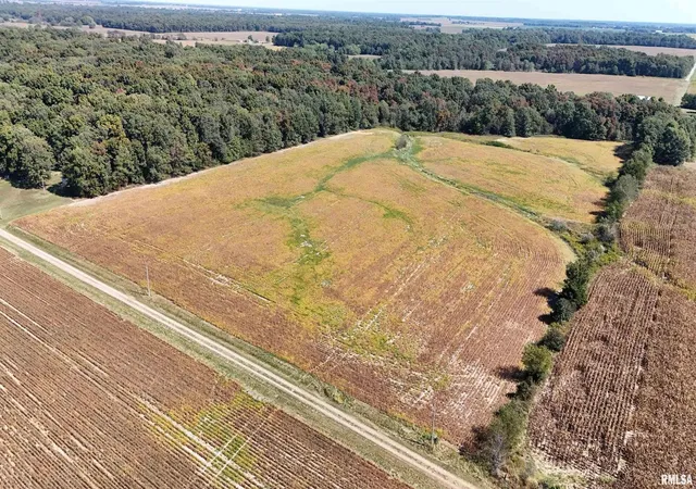 Photo 4 of Land for sale at 000 E Tallowtree Dr, Xenia, IL 62899 | MLS# EB460068 | Listing updated on 2026-08-03