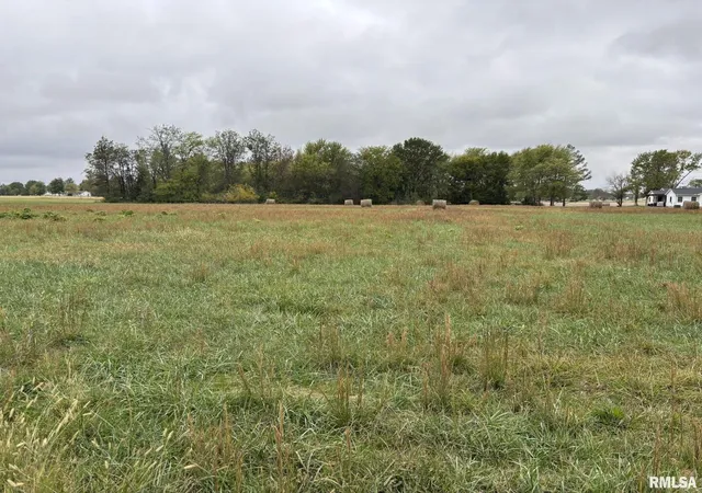 Photo 1 of Land for sale at 1200 Block Roddy Rd, Salem, IL 62881 | MLS# EB460293 | Listing updated on 2026-07-18