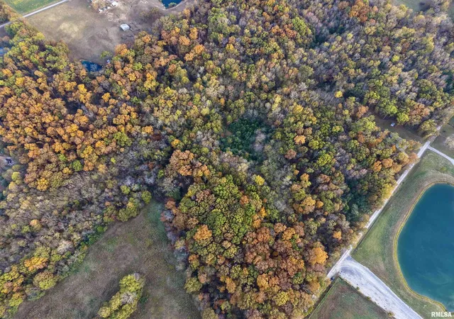 Photo 3 of Land for sale at 18492 Moonbeam Ln, Mt Vernon, IL 62864 | MLS# EB460369 | Listing updated on 2026-08-15