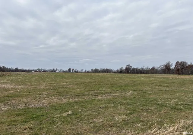 Photo 1 of Land for sale at 0000 N Puckett Ln, Mt Vernon, IL 62864 | MLS# EB460738 | Listing updated on 2026-08-03
