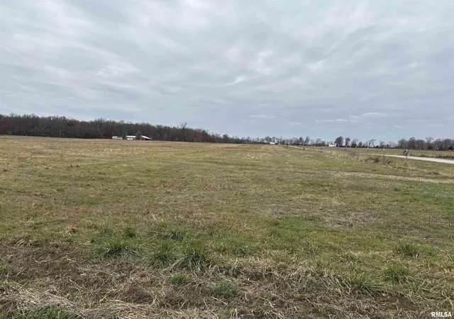 Photo 2 of Land for sale at 0000 N Puckett Ln, Mt Vernon, IL 62864 | MLS# EB460738 | Listing updated on 2026-08-03