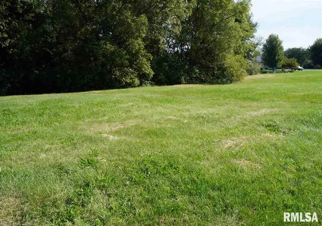Photo 2 of Land for sale at 55 Rustic Lake Estates, Colona, IL 61241 | MLS# QC4188218 | Listing updated on 2026-05-25