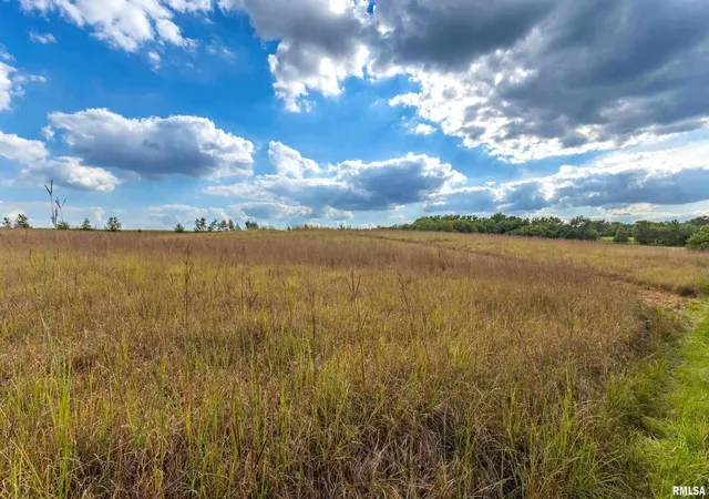 Photo 95 of Land for sale at 5122 230th St N, Port Byron, IL 61275 | MLS# QC4253556 | Listing updated on 2026-07-13
