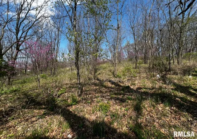 Photo 1 of Land for sale at Lot 201 James St, Port Byron, IL | MLS# QC4262535 | Listing updated on 2026-09-25