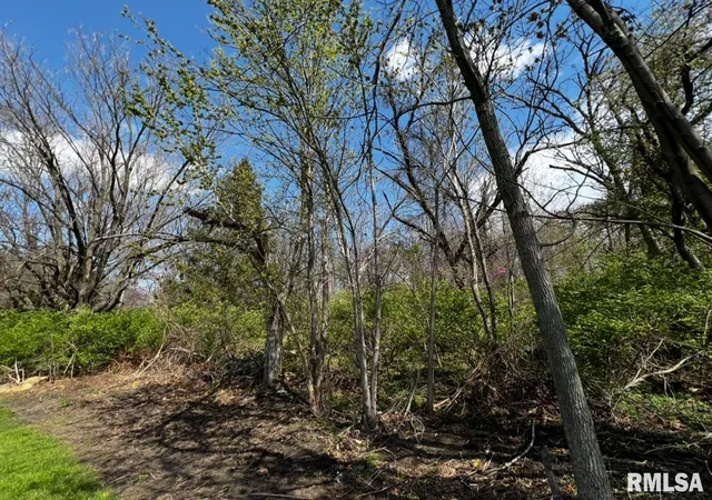 Photo 11 of Land for sale at Lot 201 James St, Port Byron, IL | MLS# QC4262535 | Listing updated on 2026-09-25