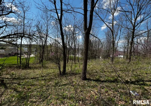 Photo 2 of Land for sale at Lot 201 James St, Port Byron, IL | MLS# QC4262535 | Listing updated on 2026-09-25