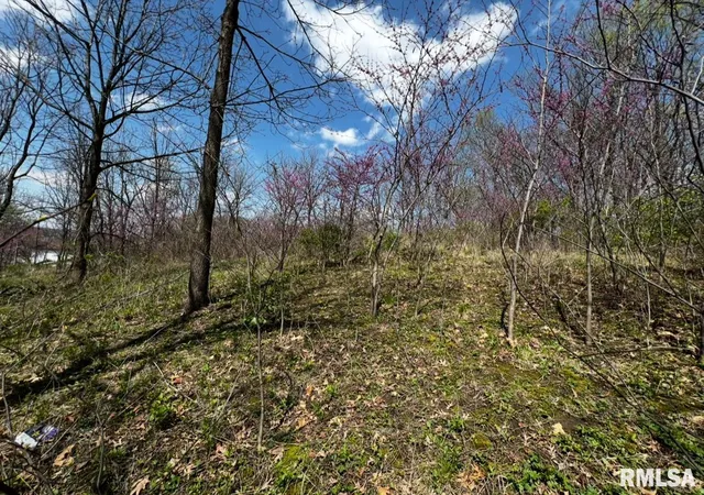 Photo 3 of Land for sale at Lot 201 James St, Port Byron, IL | MLS# QC4262535 | Listing updated on 2026-09-25