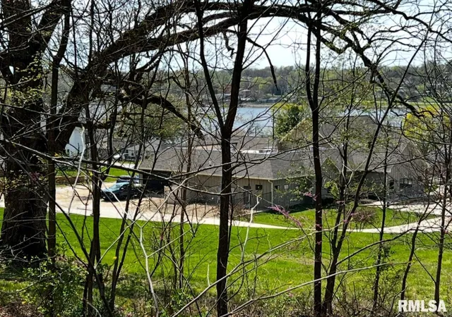 Photo 4 of Land for sale at Lot 201 James St, Port Byron, IL | MLS# QC4262535 | Listing updated on 2026-09-25