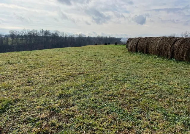 Homes for sale in Dry Ridge, KY | 360 5 Mulligan Rd, Dry Ridge, KY 41035 | MLS# 618976