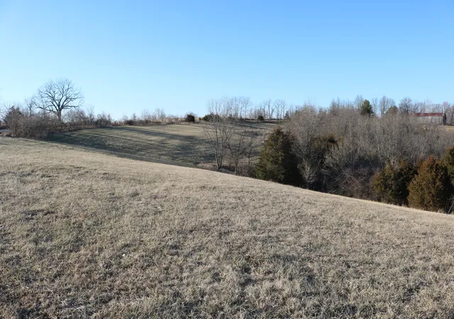 Homes for sale in Dry Ridge, KY | 521 Acres Vallandingham Rd, Dry Ridge, KY 41035 | MLS# 625575