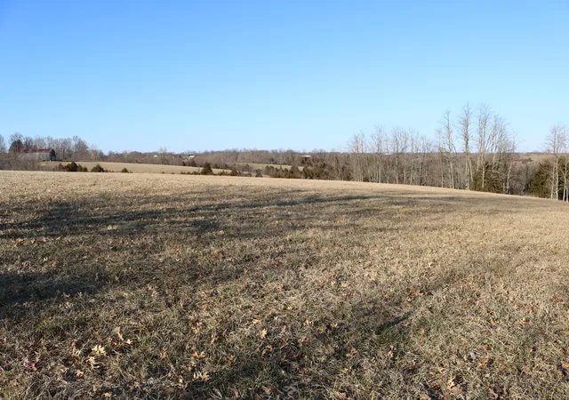 Homes for sale in Dry Ridge, KY | 521 Acres Vallandingham Rd, Dry Ridge, KY 41035 | MLS# 625575