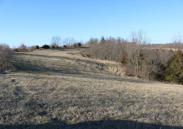Homes for sale in Dry Ridge, KY | 521 Acres Vallandingham Rd, Dry Ridge, KY 41035 | MLS# 625575