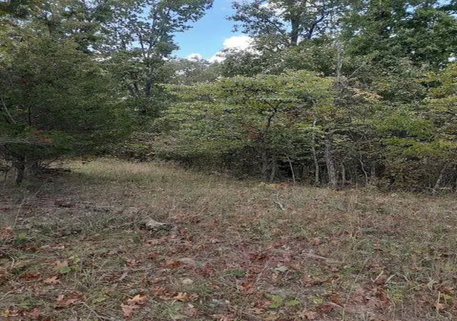 Photo 1 of Land for sale at Lot 15 Apple Ln, Cynthiana, KY 41031 | MLS# 637168 | Listing updated on 2025-10-15