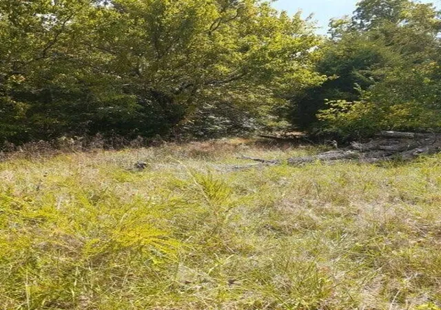 Photo 1 of Land for sale at Lot 16 Apple Ln, Cynthiana, KY 41031 | MLS# 637173 | Listing updated on 2025-10-15