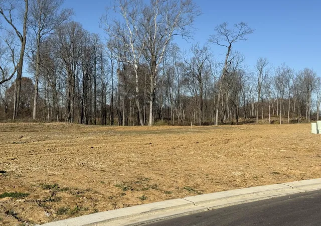 Homes for sale in Independence, KY | 6681 Tullamore Ln #Lot 3, Independence, KY 41051 | MLS# 638312