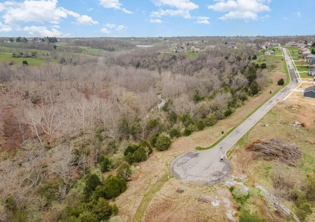 Homes for sale in Dry Ridge, KY | 4 Acres Saddlebrook Ln, Dry Ridge, KY 41035 | MLS# 638554