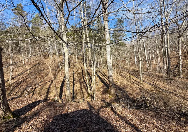3rd image of 248 Sulphur Lick Rd, Frankfort, KY 40601 | MLS# 639940