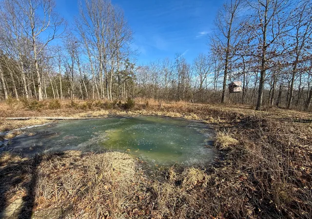5th image of 248 Sulphur Lick Rd, Frankfort, KY 40601 | MLS# 639940
