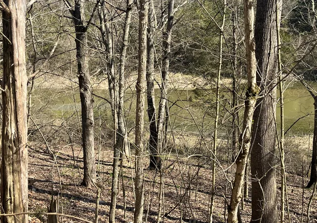 Homes for sale in Owenton, KY | 3105 Gratz Road 59 & 60, Owenton, KY 40359 | MLS# 640828