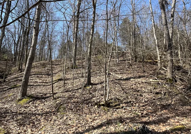 Homes for sale in Owenton, KY | 3105 Gratz Road 59 & 60, Owenton, KY 40359 | MLS# 640828