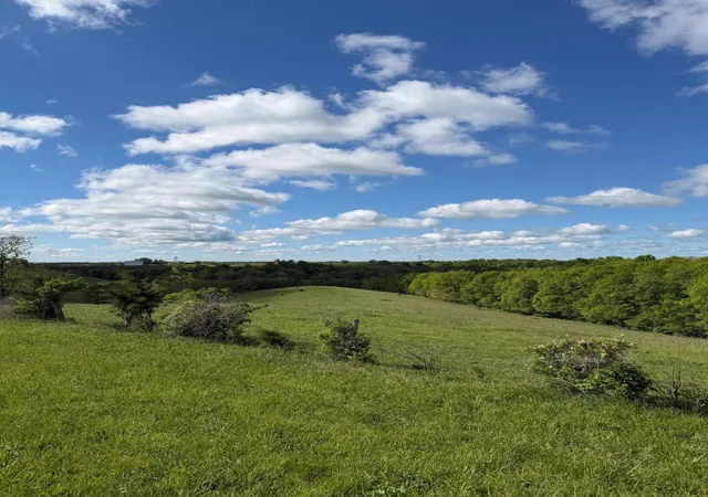Photo 3 of Land for sale at 1417 Ac Chipman Ridge Rd, Williamstown, KY 41097 | MLS# 642194 | Listing updated on 2026-09-09