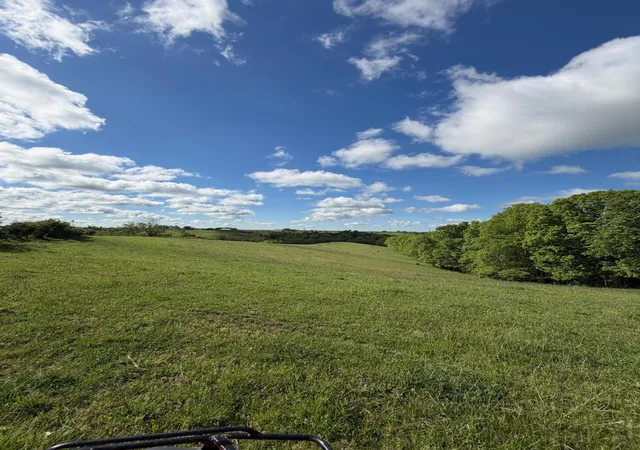 Photo 3 of Land for sale at 1417 Ac Chipman Ridge Rd, Williamstown, KY 41097 | MLS# 642194 | Listing updated on 2026-09-09