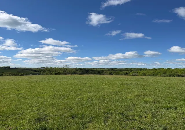 Homes for sale in Williamstown, KY | 693 Ac Chipman Ridge Rd, Williamstown, KY 41097 | MLS# 642202