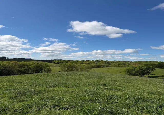 Homes for sale in Williamstown, KY | 693 Ac Chipman Ridge Rd, Williamstown, KY 41097 | MLS# 642202