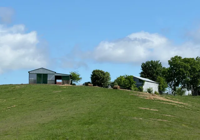 Homes for sale in Williamstown, KY | 2099 Ac Chipman Ridge Rd, Williamstown, KY 41097 | MLS# 642195