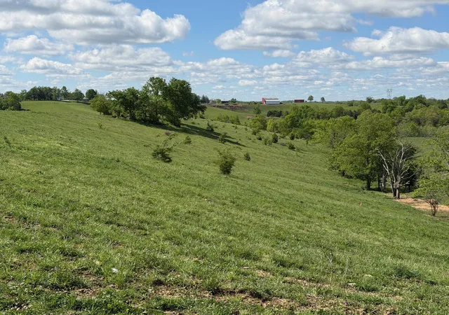 Photo 3 of Land for sale at 2481 Ac Chipman Ridge Rd, Williamstown, KY 41097 | MLS# 642196 | Listing updated on 2026-09-09