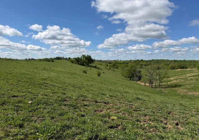 Photo 4 of Land for sale at 2481 Ac Chipman Ridge Rd, Williamstown, KY 41097 | MLS# 642196 | Listing updated on 2026-09-09