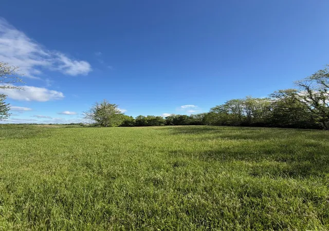 Homes for sale in Williamstown, KY | 1119 Ac Chipman Ridge Rd, Williamstown, KY 41097 | MLS# 642193