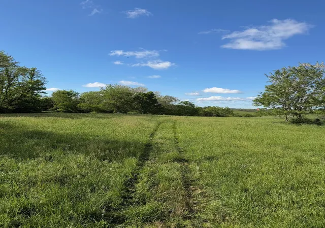 Homes for sale in Williamstown, KY | 1119 Ac Chipman Ridge Rd, Williamstown, KY 41097 | MLS# 642193