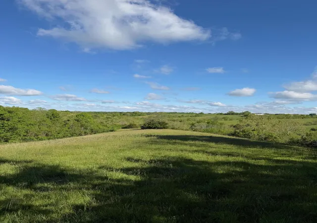 Homes for sale in Williamstown, KY | 1119 Ac Chipman Ridge Rd, Williamstown, KY 41097 | MLS# 642193