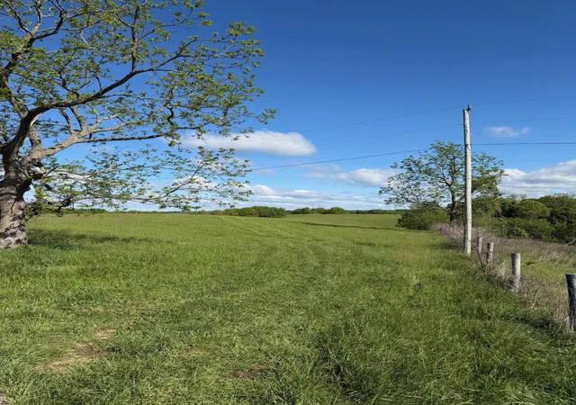 Photo 4 of Land for sale at 3228 Ac Chipman Ridge Rd, Williamstown, KY 41097 | MLS# 642198 | Listing updated on 2026-09-09