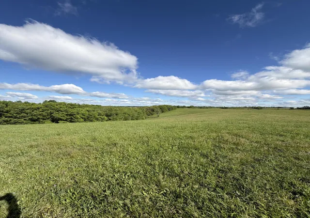 Homes for sale in Williamstown, KY | 511 Ac Chipman Ridge Rd, Williamstown, KY 41097 | MLS# 642199