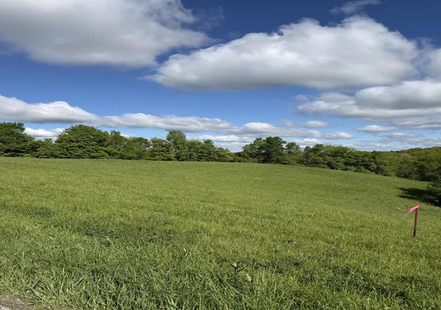 Homes for sale in Williamstown, KY | 528 Ac Chipman Ridge Rd, Williamstown, KY 41097 | MLS# 642200
