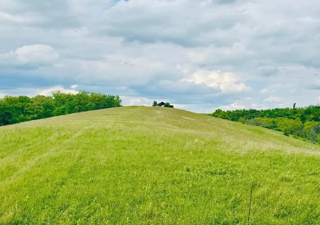 Homes for sale in Williamstown, KY | 43 Acres Chipman Ridge Rd #43 Acres, +/-, Williamstown, KY 41097 | MLS# 642184