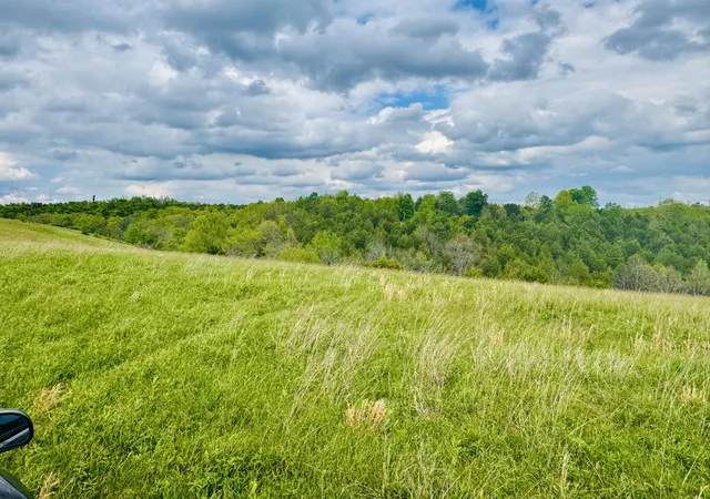 Homes for sale in Williamstown, KY | 43 Acres Chipman Ridge Rd #43 Acres, +/-, Williamstown, KY 41097 | MLS# 642184