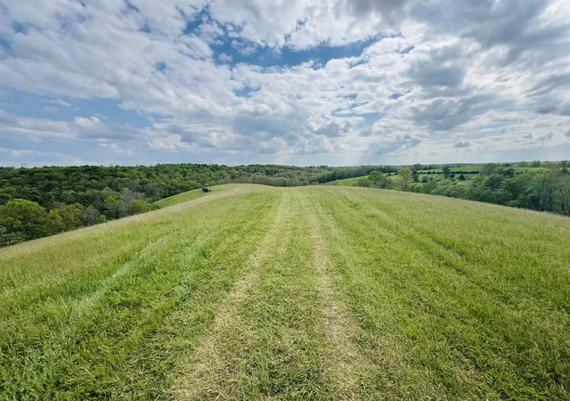 Homes for sale in Williamstown, KY | 43 Acres Chipman Ridge Rd #43 Acres, +/-, Williamstown, KY 41097 | MLS# 642184