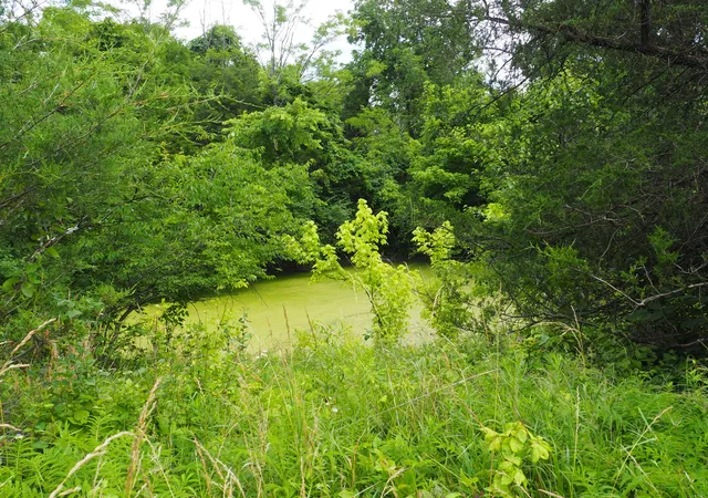Photo 3 of Land for sale at 8185 Camp Ernst Rd, Burlington, KY 41005 | MLS# 642626 | Listing updated on 2026-08-17