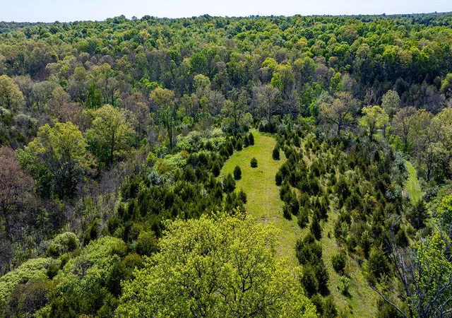 Photo 3 of Land for sale at 2300 Taft Hwy, Dry Ridge, KY 41035 | MLS# 642435 | Listing updated on 2026-05-10