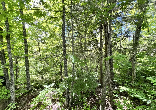 Homes for sale in Williamstown, KY | 6710 Lawrenceville Rd, Williamstown, KY 41097 | MLS# 642721