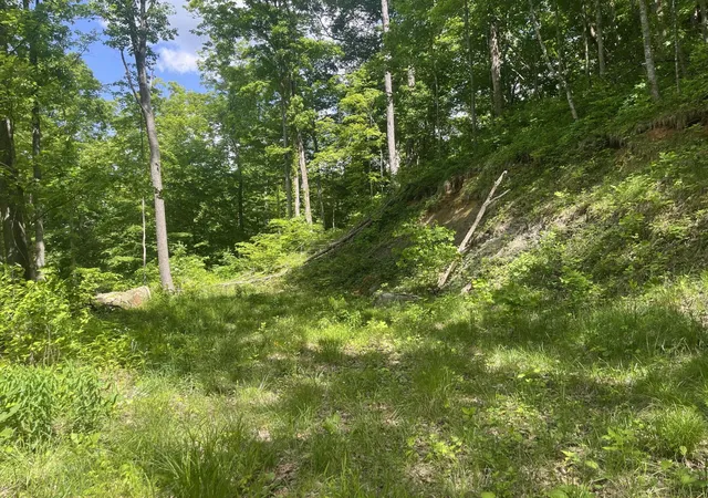 Homes for sale in Stanton, KY | 0 Birch Hollow Rd #Lot 12, Stanton, KY 40380 | MLS# 642708