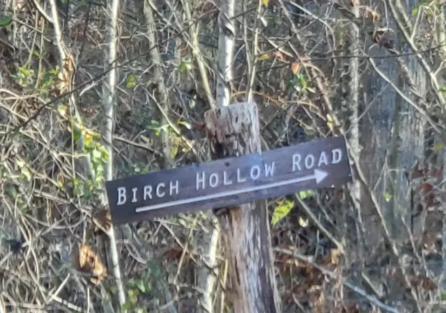 Homes for sale in Stanton, KY | 0 Birch Hollow Rd #Lot 12, Stanton, KY 40380 | MLS# 642708