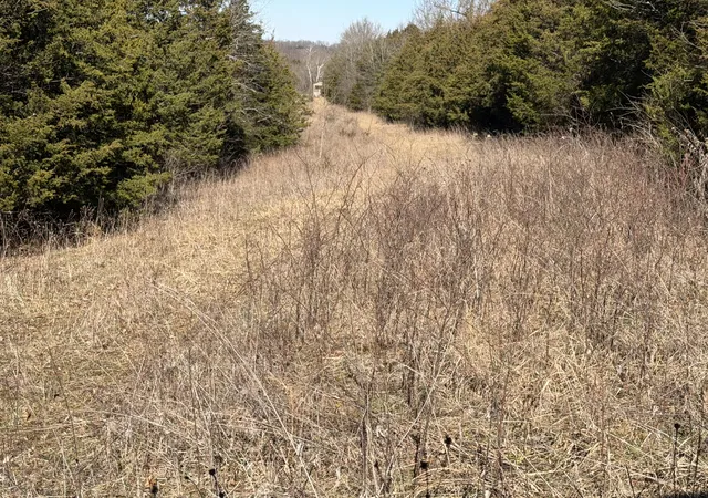 Homes for sale in Corinth, KY | 00 Pleasant View Cemetery Rd, Corinth, KY 41010 | MLS# 642712