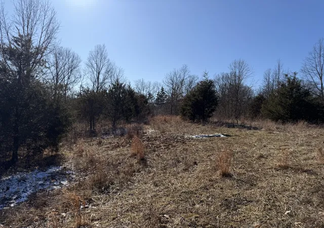 Homes for sale in Corinth, KY | 00 Pleasant View Cemetery Rd, Corinth, KY 41010 | MLS# 642712