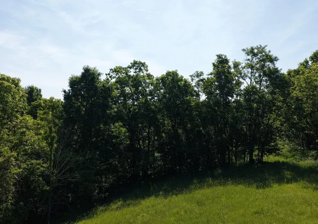 Homes for sale in Mt. Olivet, KY | 0 Crockett Ln, Mt. Olivet, KY 41064 | MLS# 643058