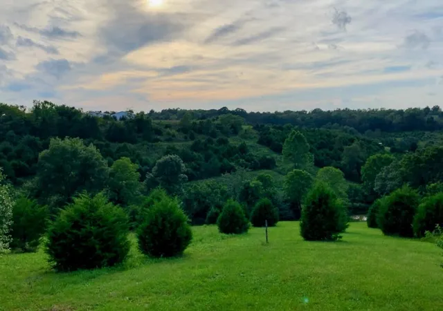 Photo 2 of Land for sale at 8530 Highway 22 E, Owenton, KY 40359 | MLS# 643189 | Listing updated on 2026-09-04