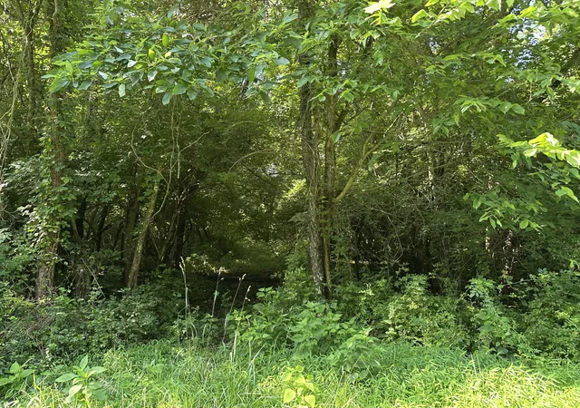 Photo 4 of Land for sale at 5205 Whitton Rd, Petersburg, KY 41080 | MLS# 643874 | Listing updated on 2026-09-21